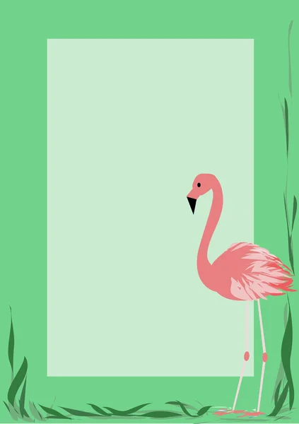 Flamingo — Stockový vektor