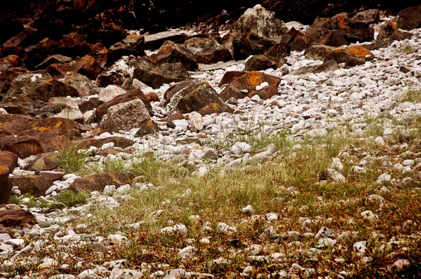 Pietricele, pietricele, iarba — Fotografie, imagine de stoc
