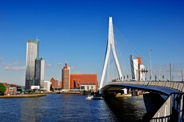 Rotterdam bölgesindeki köprü