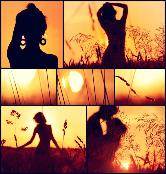 Sunset collage. — Stock Photo, Image