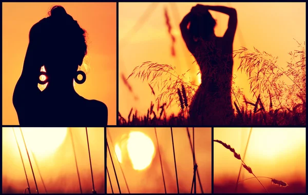Solnedgång collage. — Stockfoto