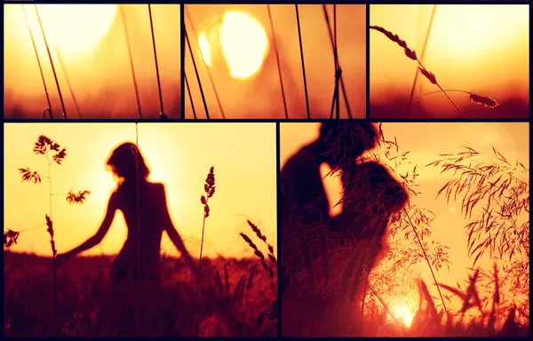 Collage zum Sonnenuntergang. — Stockfoto