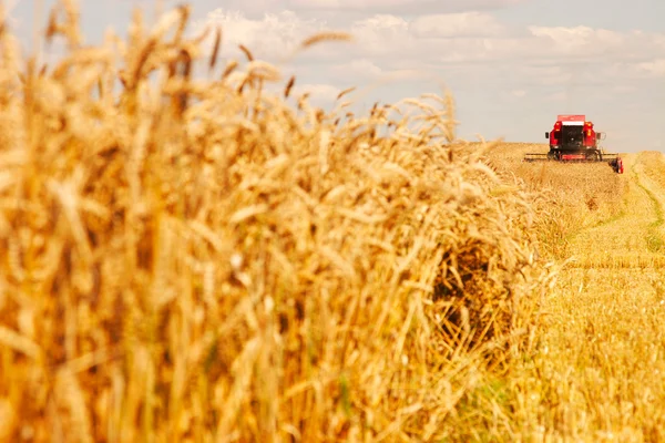 Комбинат работы на пшеничном поле — стоковое фото