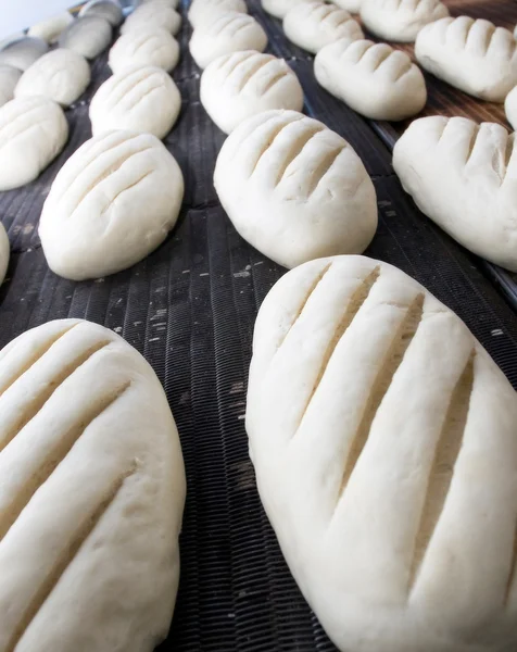 Brood in de bakkerij — Stockfoto