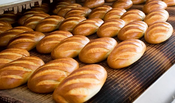 Brood in de bakkerij Stockfoto