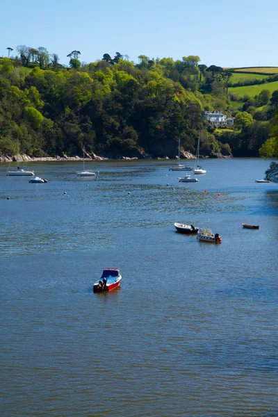 O rio Dart em Devon rumo ao mar — Fotografia de Stock
