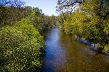 staverton Köprüsü, devon nehir dart