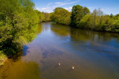 staverton Köprüsü, devon görünümünden