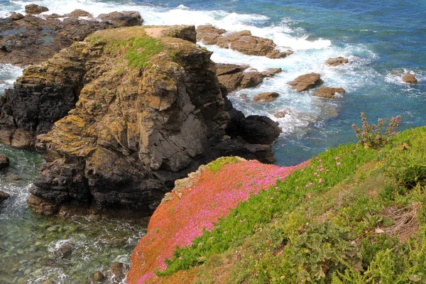 L'affioramento roccioso che si estende verso il mare sulla penisola di Lizard — Foto Stock