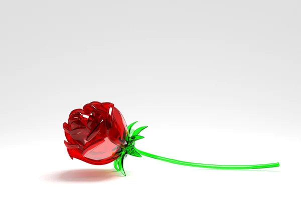 Lesklá růže — Stock fotografie