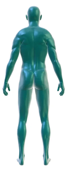 Cuerpo masculino en blanco, vista trasera — Foto de Stock