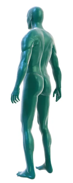 Männlicher Körper auf weiß, Rückseite Dreiviertelansicht — Stockfoto