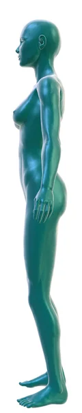 Female body on white, side view Stock Picture