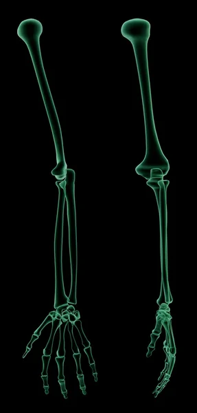 Рентгеновская структура человеческой руки — стоковое фото