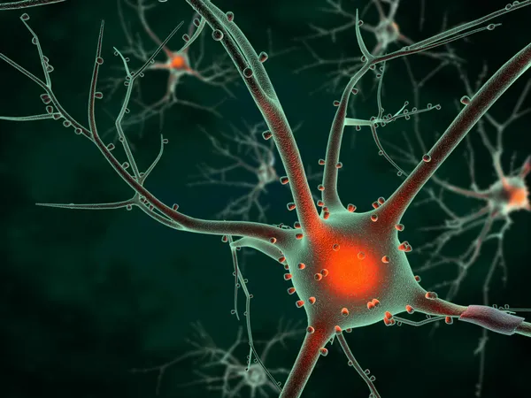 Zellkörper eines Neurons — Stockfoto