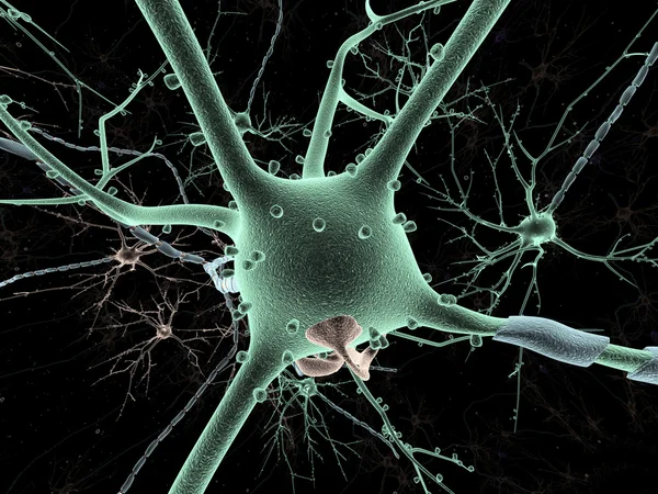 Buněk těla na neuron dlouho shot — Stock fotografie