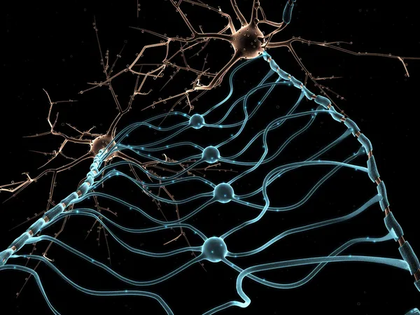 Neuron oligodendrocytů — Stock fotografie
