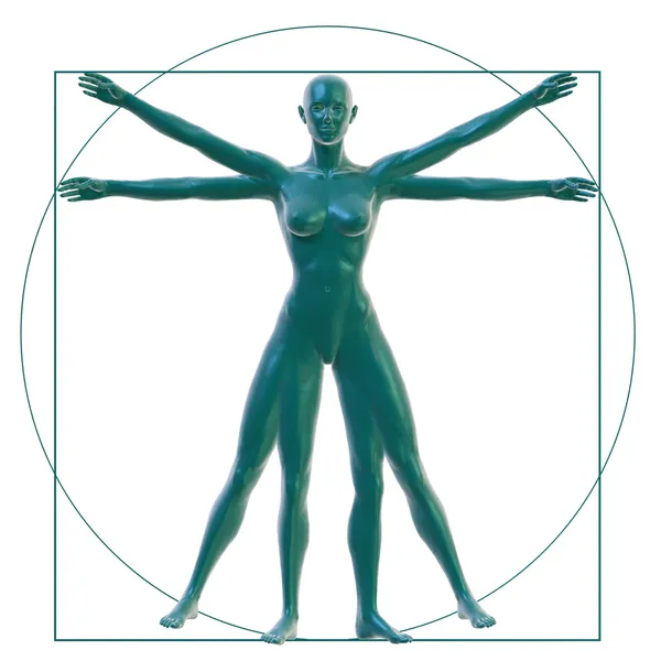 Vitruvian nő fehér Stock Kép