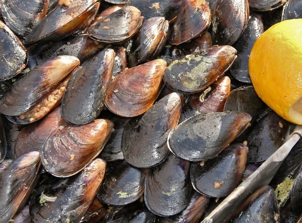 stock image Fresh mussles on a street saler's table