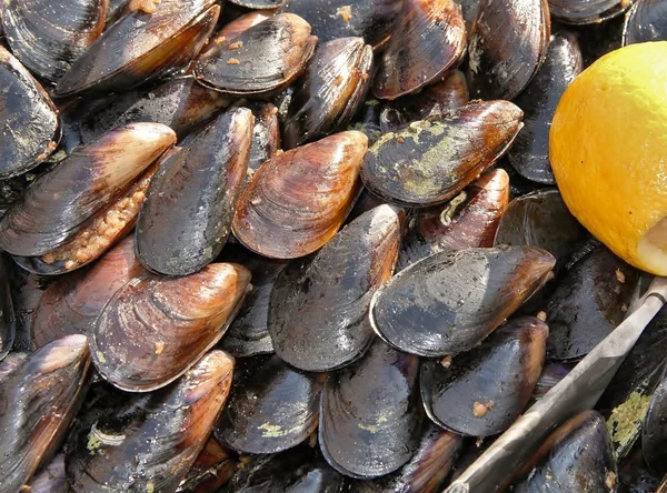 Świeże mussles na ulicy saler tabeli Obraz Stockowy