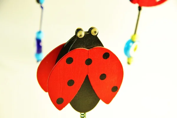 Lucky ladybug — Stock Photo, Image