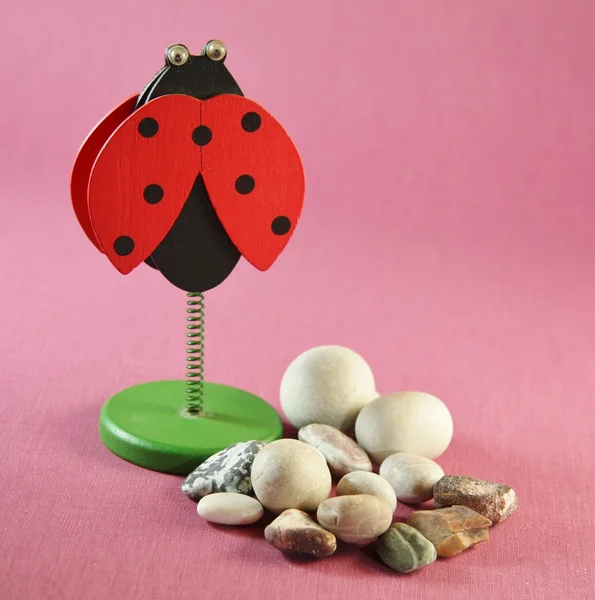 Lucky ladybug — Stock Photo, Image