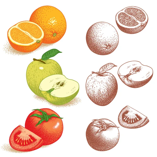 Orange, pomme, tomate. Illustration vectorielle . — Image vectorielle
