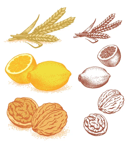 Korn, citroner, valnötter — Stock vektor