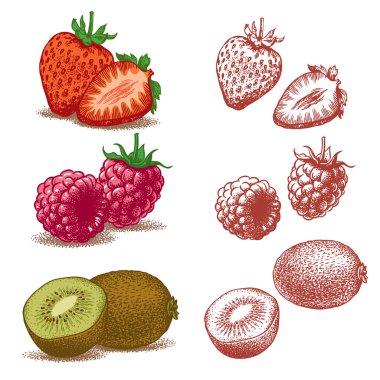 Strawberry, raspberry, kiwi. Vector illustration. clipart