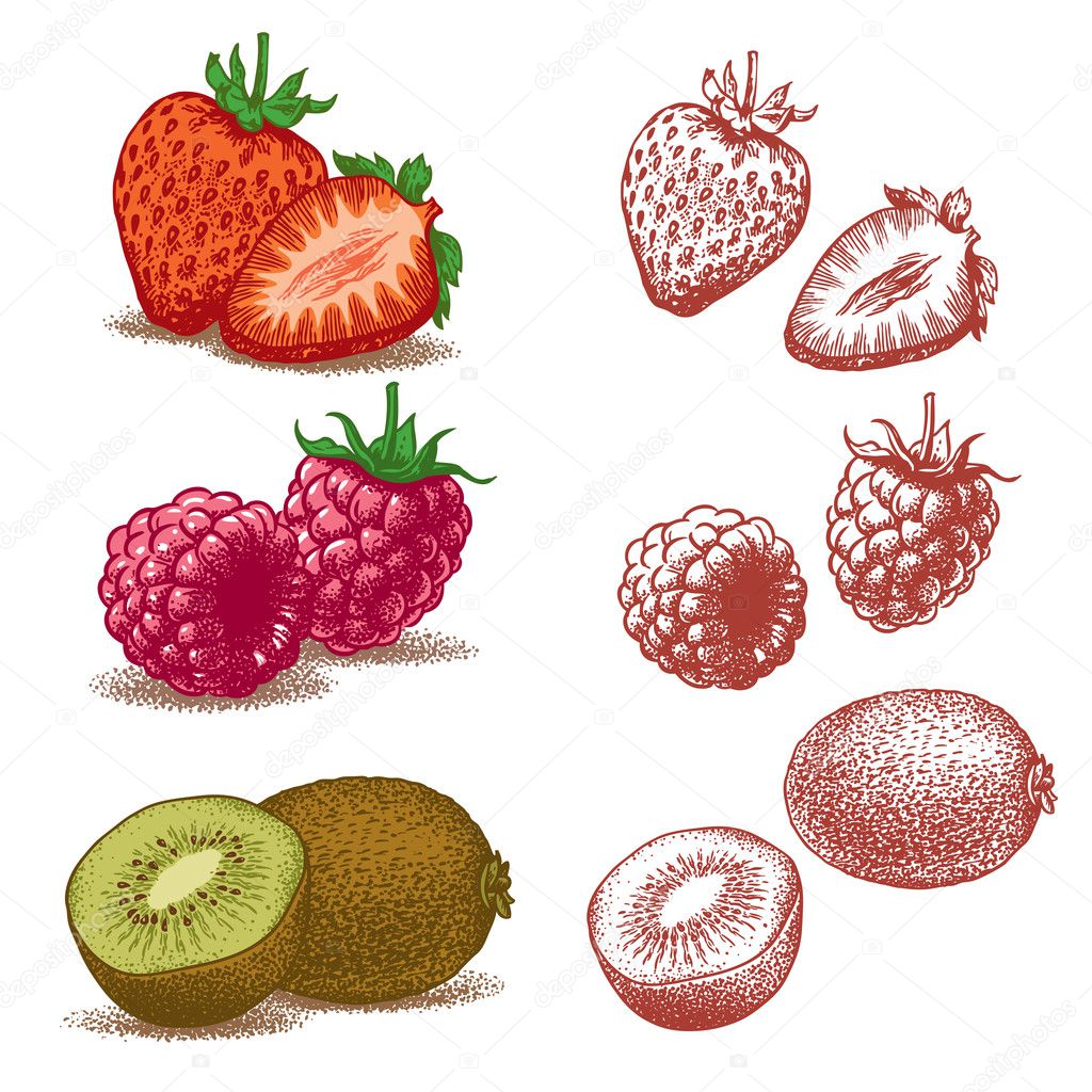 Strawberry, raspberry, kiwi. Vector illustration.