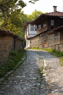 Street in Jeravna village clipart