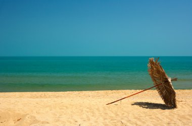 Beach with golden sands and blue sea water clipart