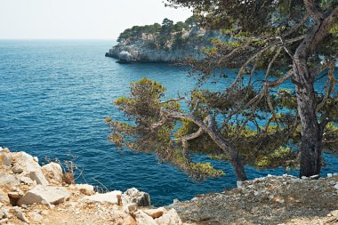 Calanque Cassis, Fransa