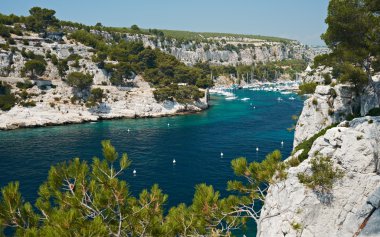 cassis calanque