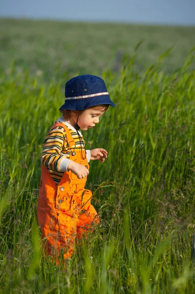 Маленький хлопчик ходить у зеленій траві під час заходу сонця — стокове фото