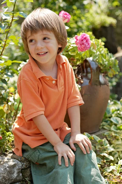 Маленький мальчик в розовом саду — стоковое фото