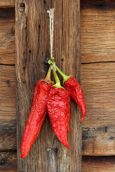 stock image Red peppers