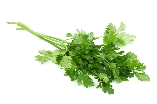 stock image Fresh parsley spice