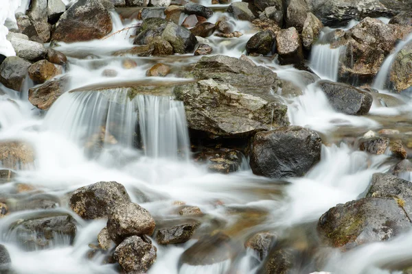 Mountain stream in Rila — Stock Photo, Image