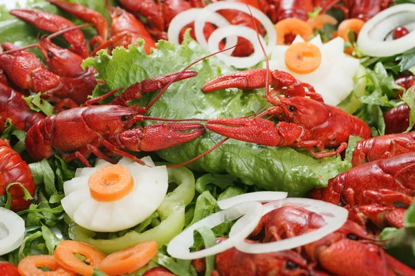 Red cooked lake lobsters — Stock Photo, Image