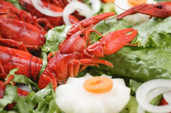Cooked lake lobsters — Stock Photo, Image