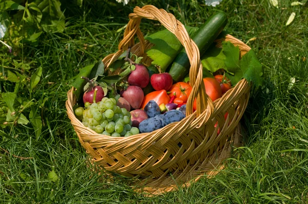 Frutas frescas en una canasta — Foto de Stock