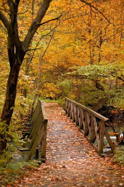 stock image Autumn scenery with a bridge