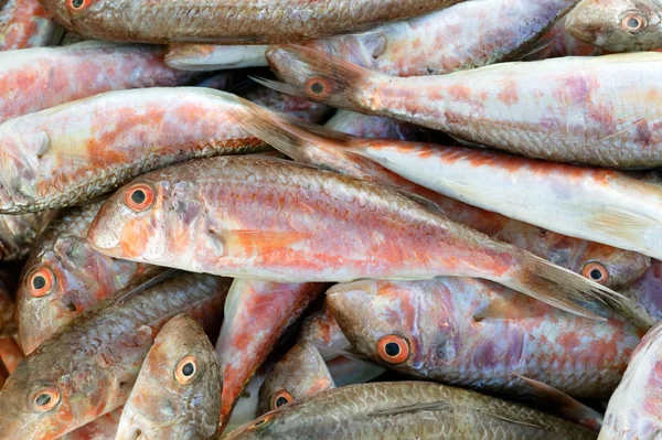 Barwena ryb — Zdjęcie stockowe