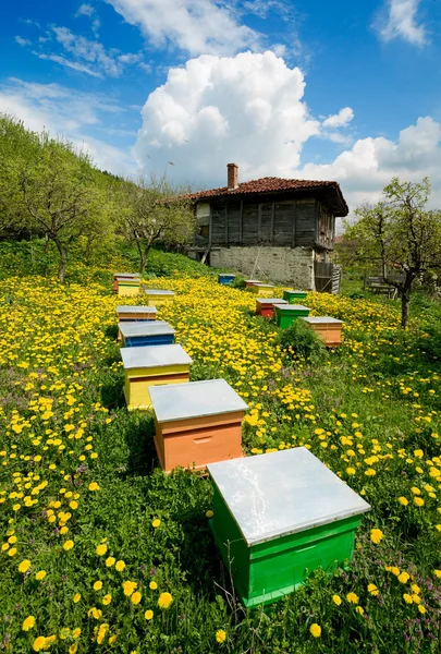 Casa velha e apiário — Fotografia de Stock