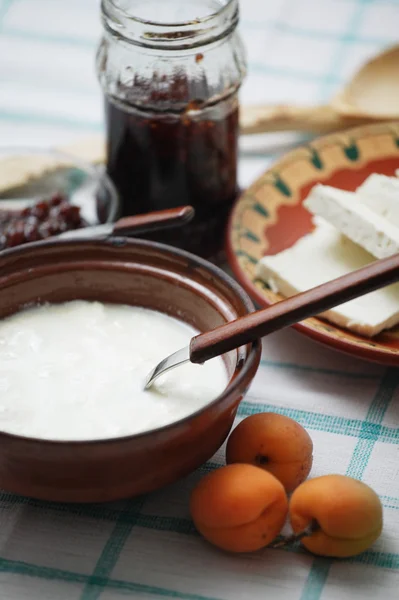 Yoghurt bulgaro — Foto Stock