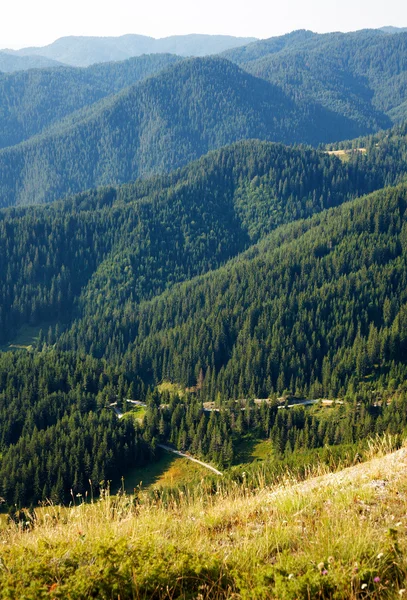 Piste della montagna Rodopi — Foto Stock