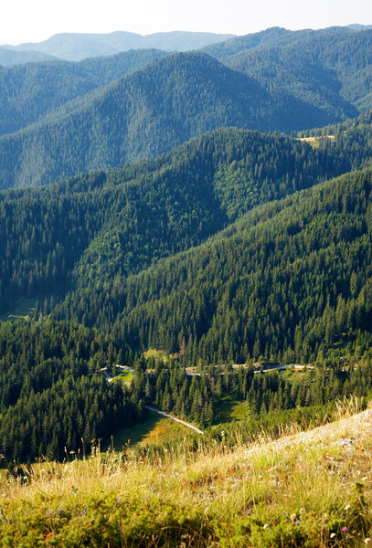 The slopes of the Western Rhodope mountains, Bulgaria