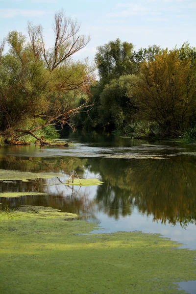 stock image Tundza river