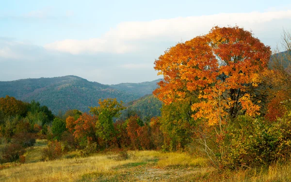 stock image Autumn mountain landscape